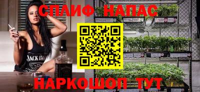 спайс Гагарин