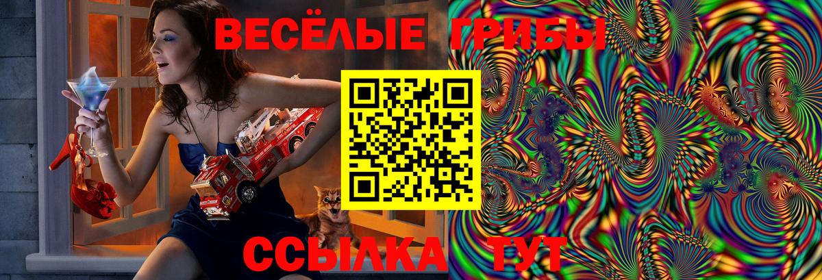 Псилоцибиновые грибы Magic Shrooms  Вход с VPN  Дзержинск  Псилоцибиновые грибы мухоморы 