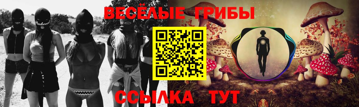 Галлюциногенные грибы Psilocybe Дзержинск